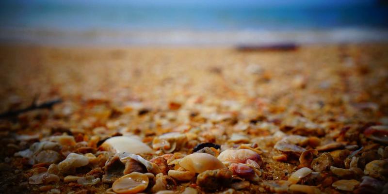 华都VIP68：重新定义商务社交的专属特权与礼宾服务