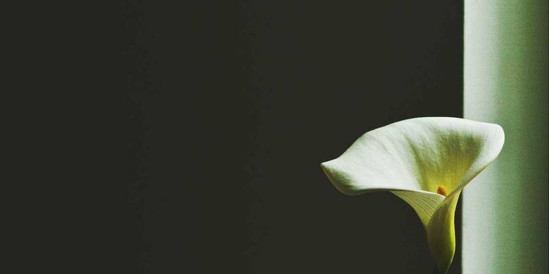 华都VIP专属特权揭秘：全球网络接入与权益互通全指南