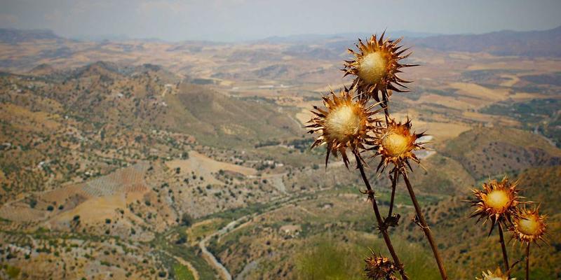 华都VIP会员专属客服通道：揭秘礼宾服务与专属特权的高端体验