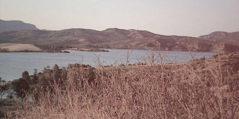 华都VIP会员俱乐部：在精英网络与商务社交中构建传世级艺术资产组合