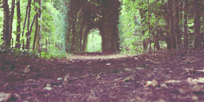 华都VIP会员俱乐部：解锁高端商务社交与专属消费返利新体验