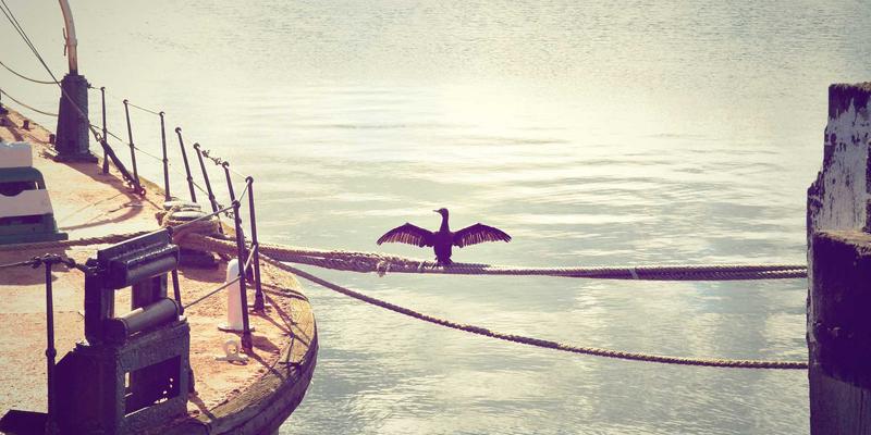 华都VIP心灵健康与静修之旅：融合高端冥想Retreat与商务社交的礼宾服务