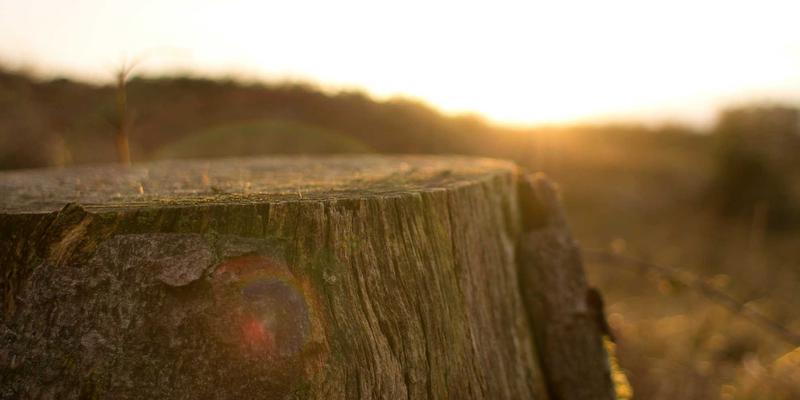 华都VIP：解锁专属特权，连接精英网络的卓越之道