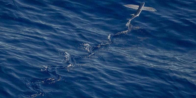 华都VIP：连接顶级医疗资源与精英网络的健康管理新范式