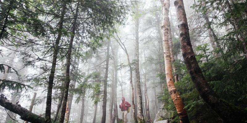 揭秘华都VIP私人艺术顾问：如何通过精英网络与礼宾服务重塑收藏格局